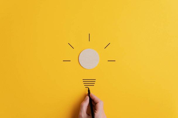 19 نکته غذای سگ شیتزو تریر: راهنمای انتخاب بهترین غذا و نکات تغذیه‌ای مهم